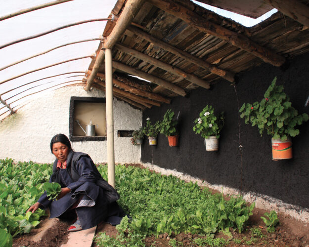 Chinese Greenhouse Design for Winter Gardening